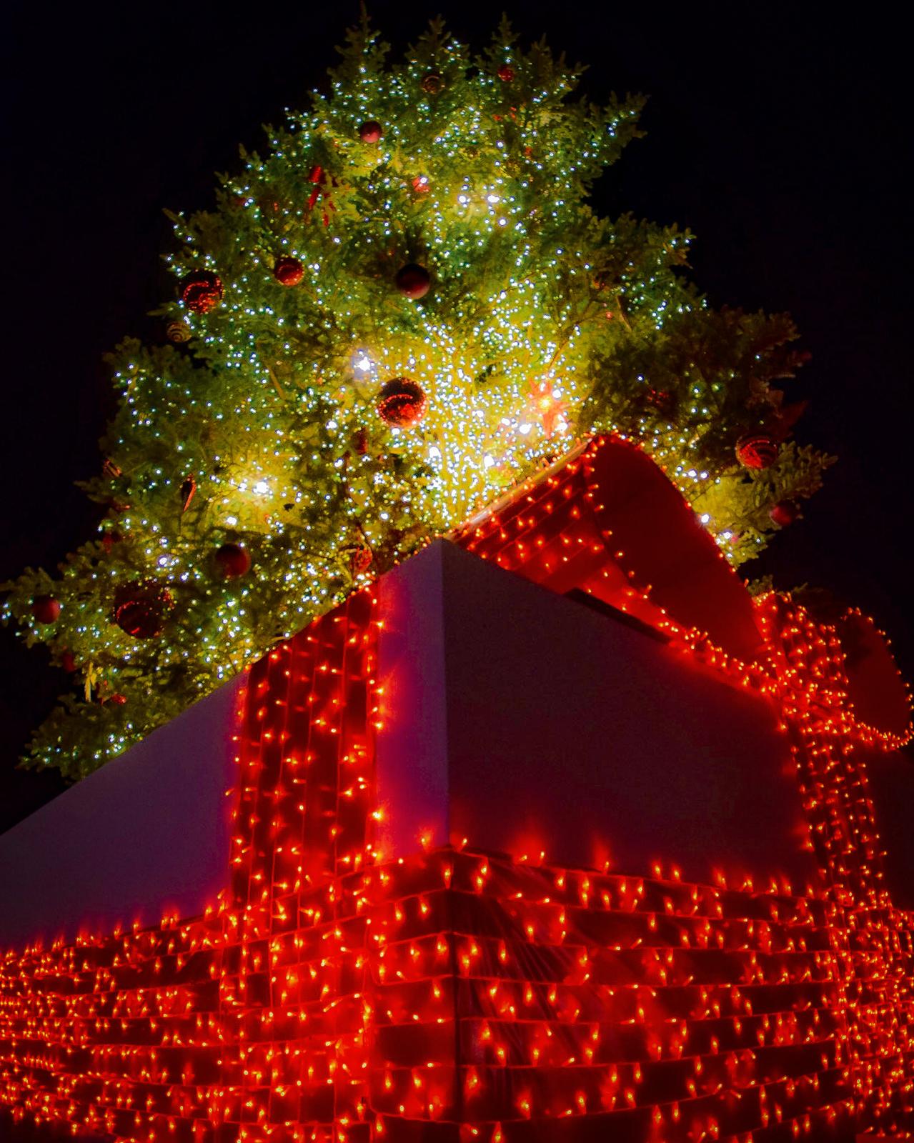 神奈川県 Christmas Market In 横浜赤レンガ倉庫 クリスマスデートにどうぞ Jptravelerspicが投稿したフォトブック Lemon8