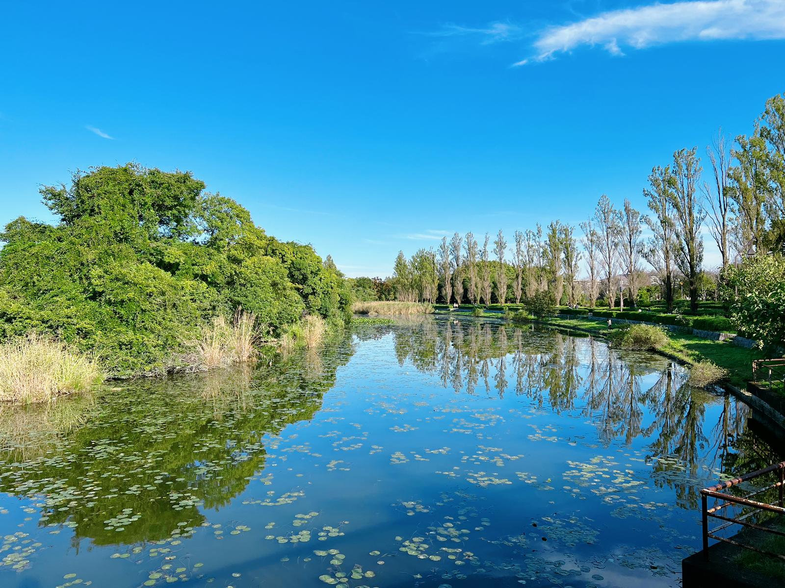 葛飾区の水元公園がすごく綺麗  sueko14が投稿したフォトブック  Lemon8