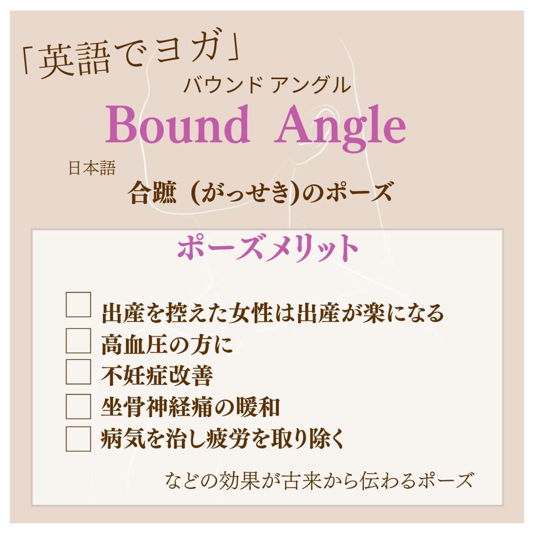 このポーズ英語でなんていうの Bound Angle 木本ステラが投稿したフォトブック Sharee