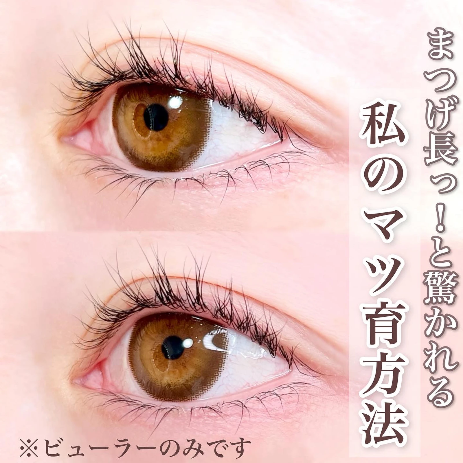 10ペア つけまつげ Dカール パッチリ系つけまつげ 3Dアイラッシュ