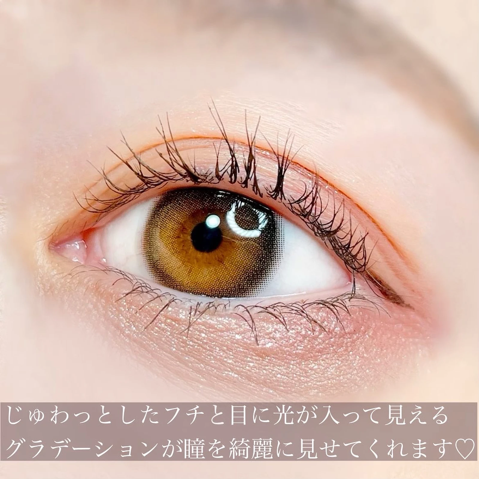 うるうる輝き 魅了する瞳に Tobibiが投稿したフォトブック Lemon8