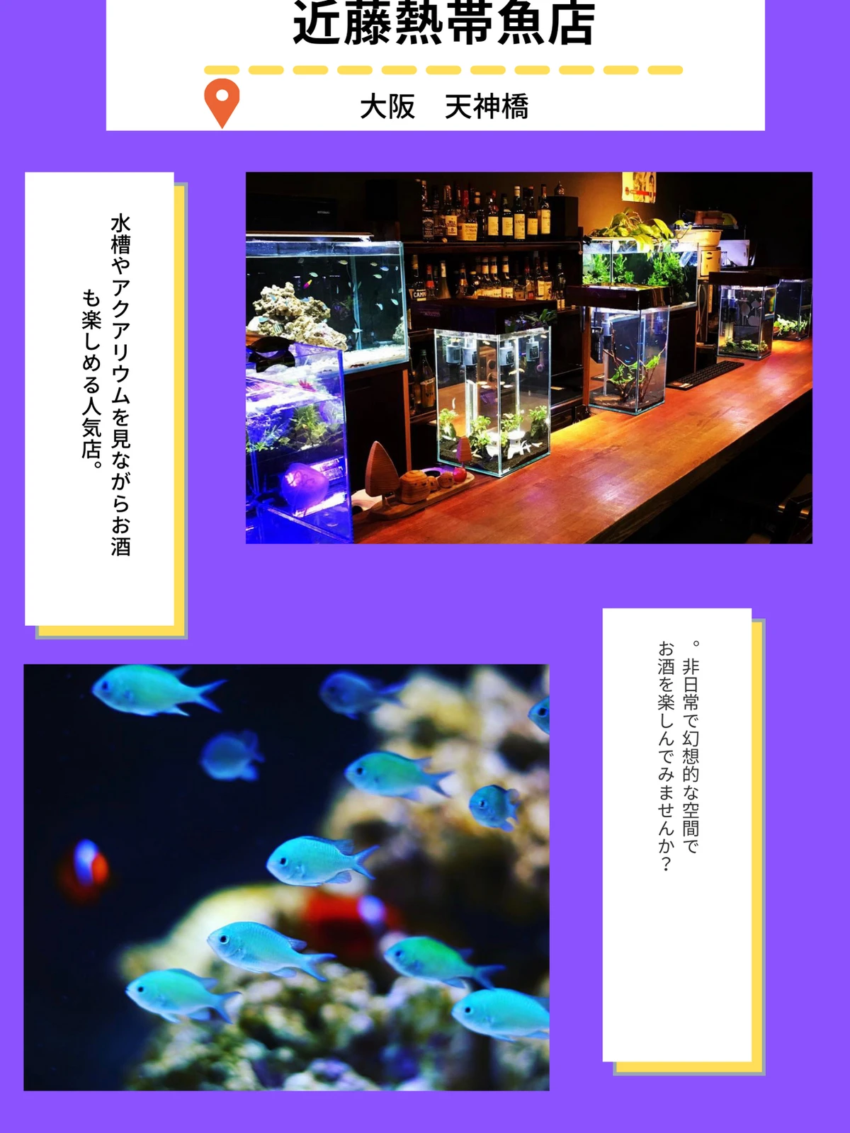 大阪面白いコンセプトのカフェ バー 孤独のコーヒーが投稿したフォトブック Lemon8