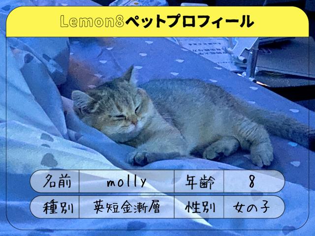 牧野桜子さんの投稿 Lemon8