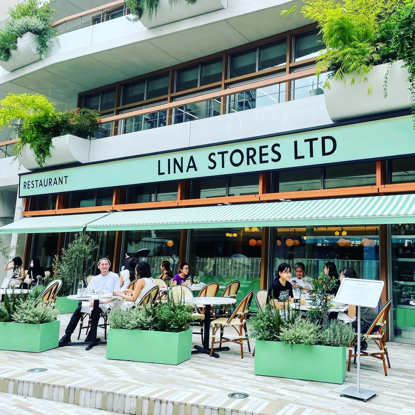 圧倒的オシャレイタリアンlinastores 表参道 まるすが投稿したフォトブック Lemon8 圧倒的オシャレイタリアンlinastores 表参道 まるすが投稿したフォトブック Lemon8