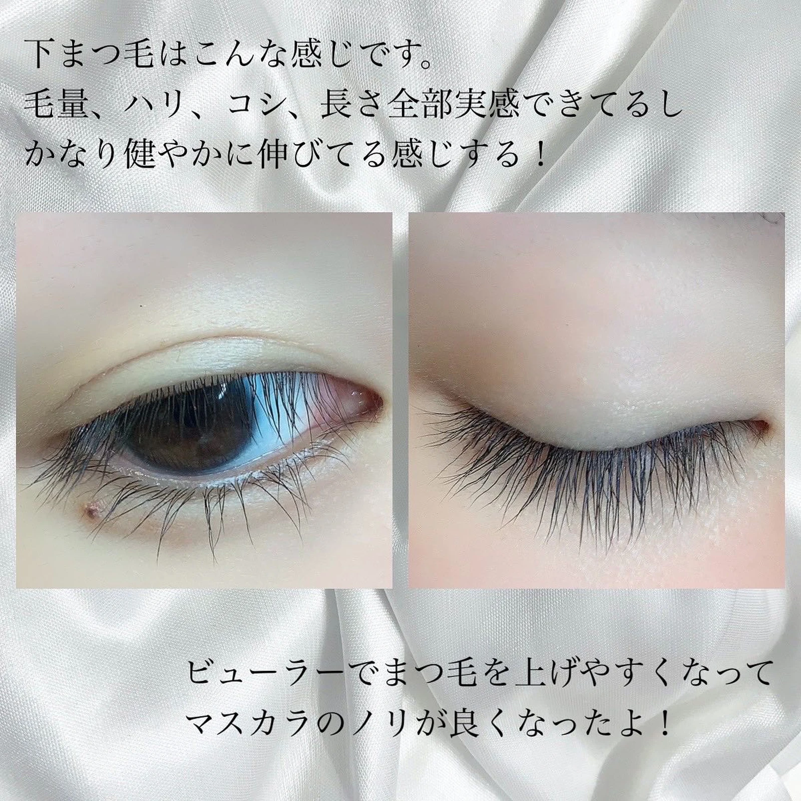 まつ毛育毛の経過 かなりの効果を実感したジュメルのまつ育美容液 Miroが投稿したフォトブック Lemon8