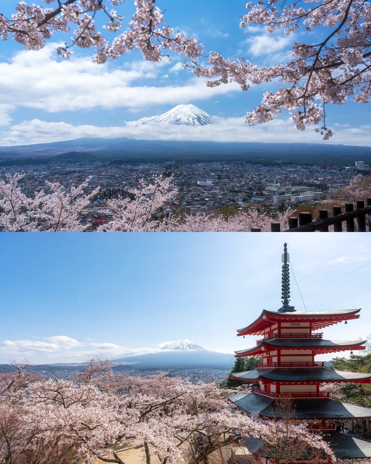 80％以上節約 日本の絶景ポストカード 〜春〜 春の新倉山浅間公園 山梨 パスポル 旅 旅行 ハガキ 景色 桜 JPC-89 chartidis.gr