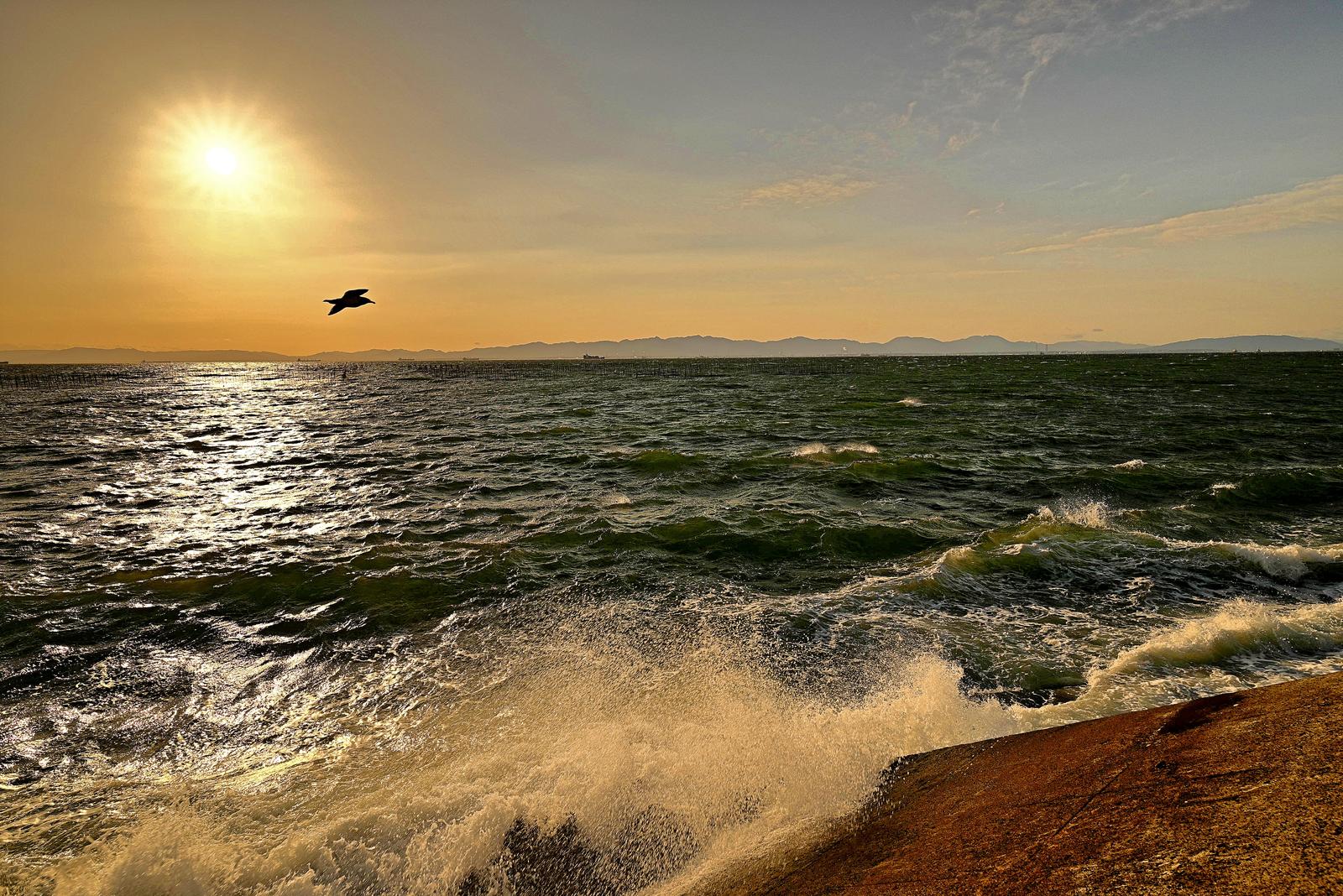 常滑の夕日 幾世達仁が投稿したフォトブック Sharee