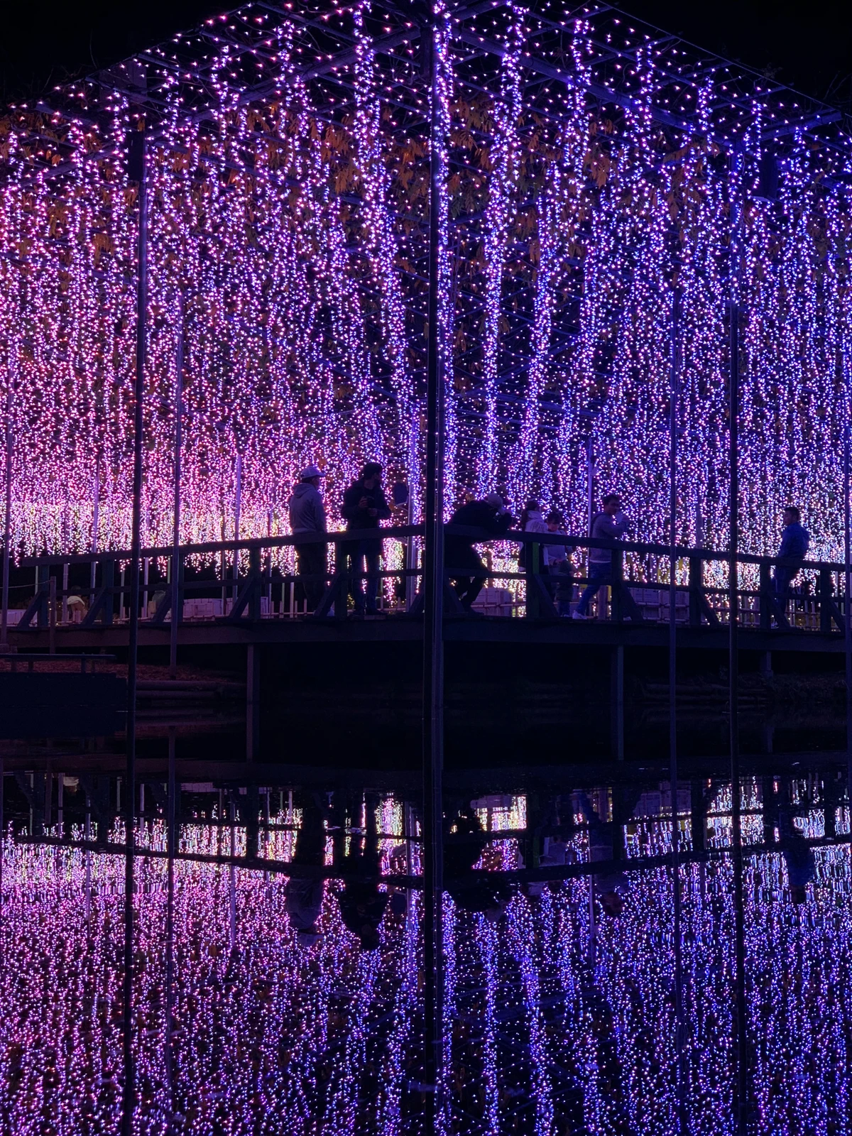 クリスマスのデートプランはこれで決まり 栃木県編 Shogo Fujimuraが投稿したフォトブック Lemon8