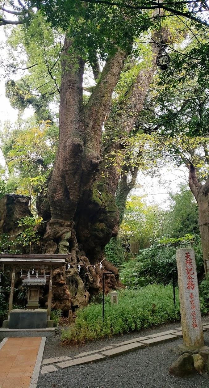 恋愛成就は身近にあり 熱海のパワースポット 來宮神社 渡辺健が投稿したフォトブック Sharee