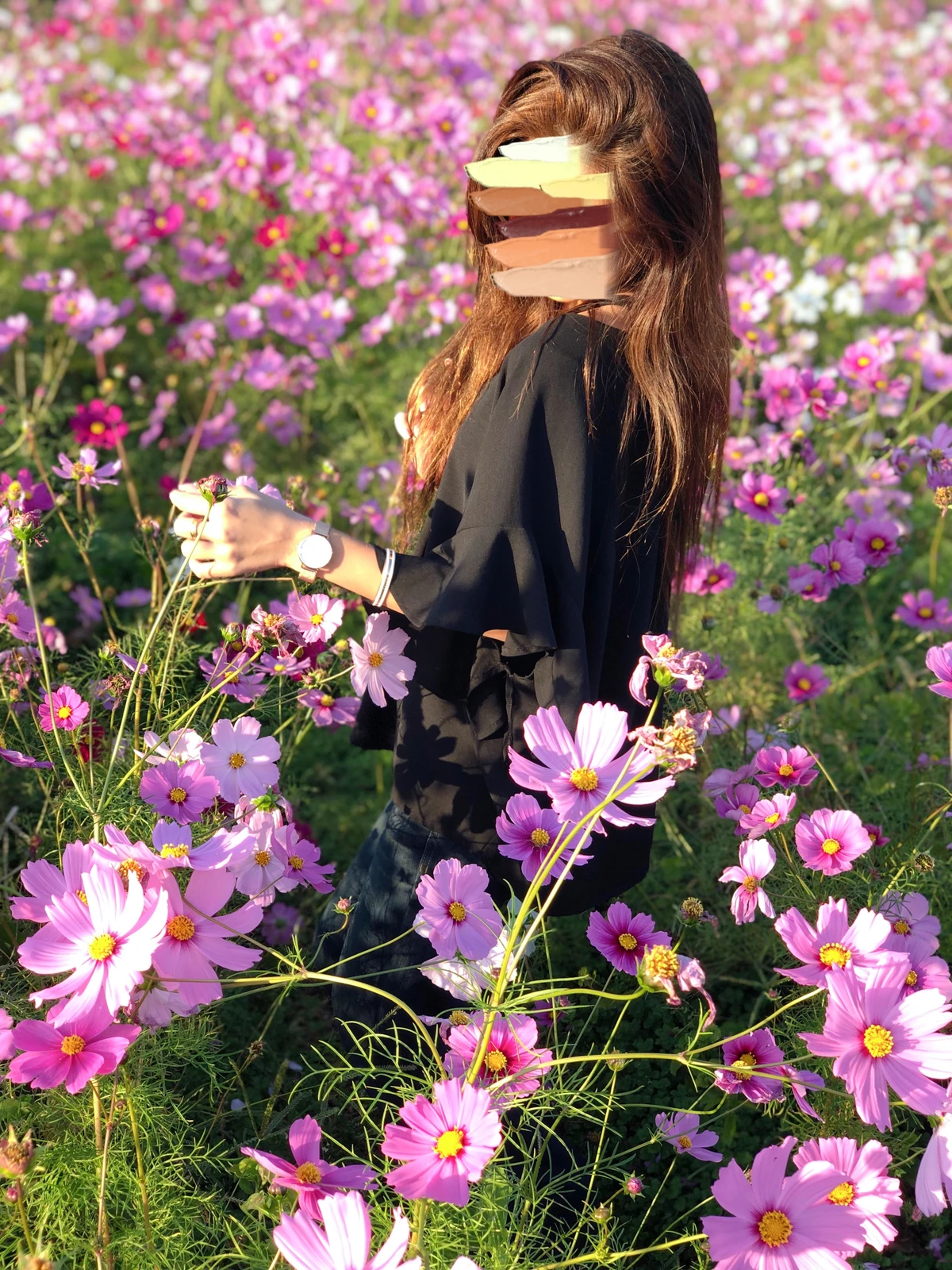 はなばたけ ピンク ピンク Www Thriving Families Org はなばたけ ピンク ピンク Www Thriving Families Org