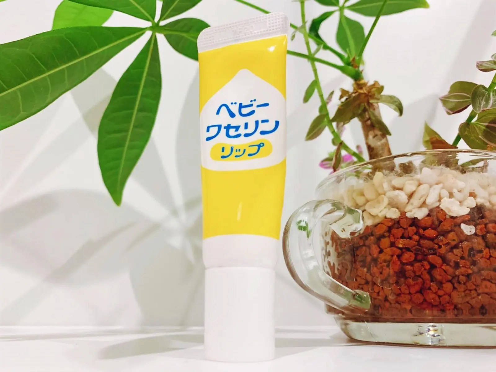 Sale 69 Off 保湿クリーム ベビーワセリンリップ 10g 携帯用 乾燥肌 パラベンフリー Materialworldblog Com Sale 69 Off 保湿クリーム ベビーワセリンリップ 10g 携帯用 乾燥肌 パラベンフリー Materialworldblog Com
