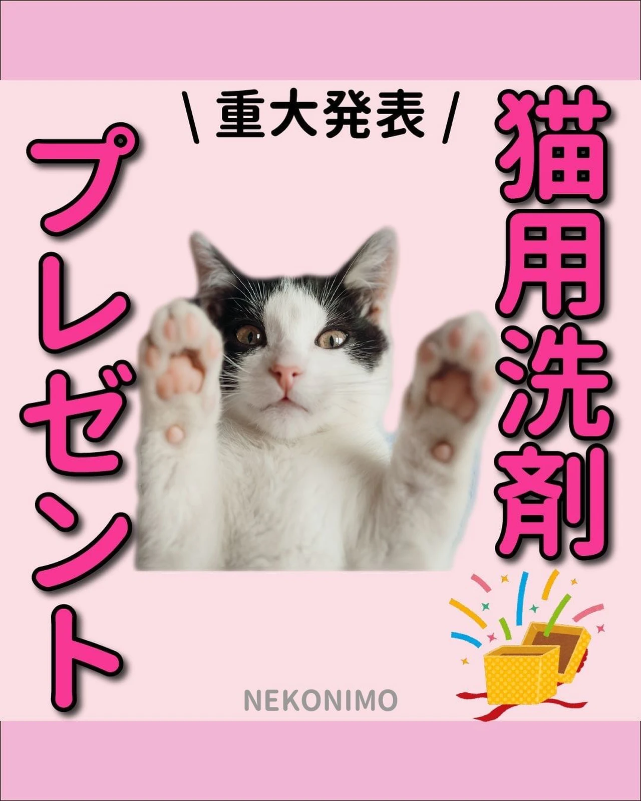 猫用食器洗剤を開発しました ねこにも 愛猫情報発信中が投稿したフォトブック Lemon8