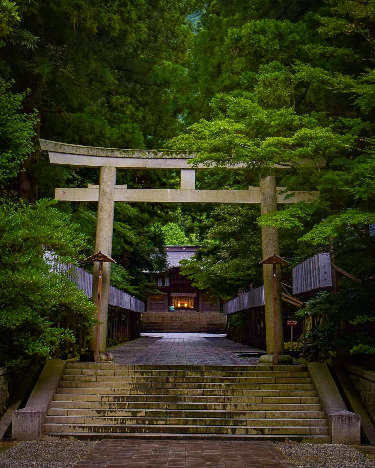 新潟県 のパワースポット 弥彦神社 Jptravelerspicが投稿したフォトブック Sharee