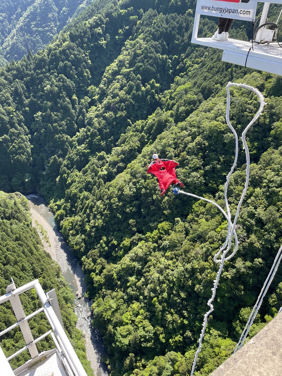 岐阜バンジー Lemon8