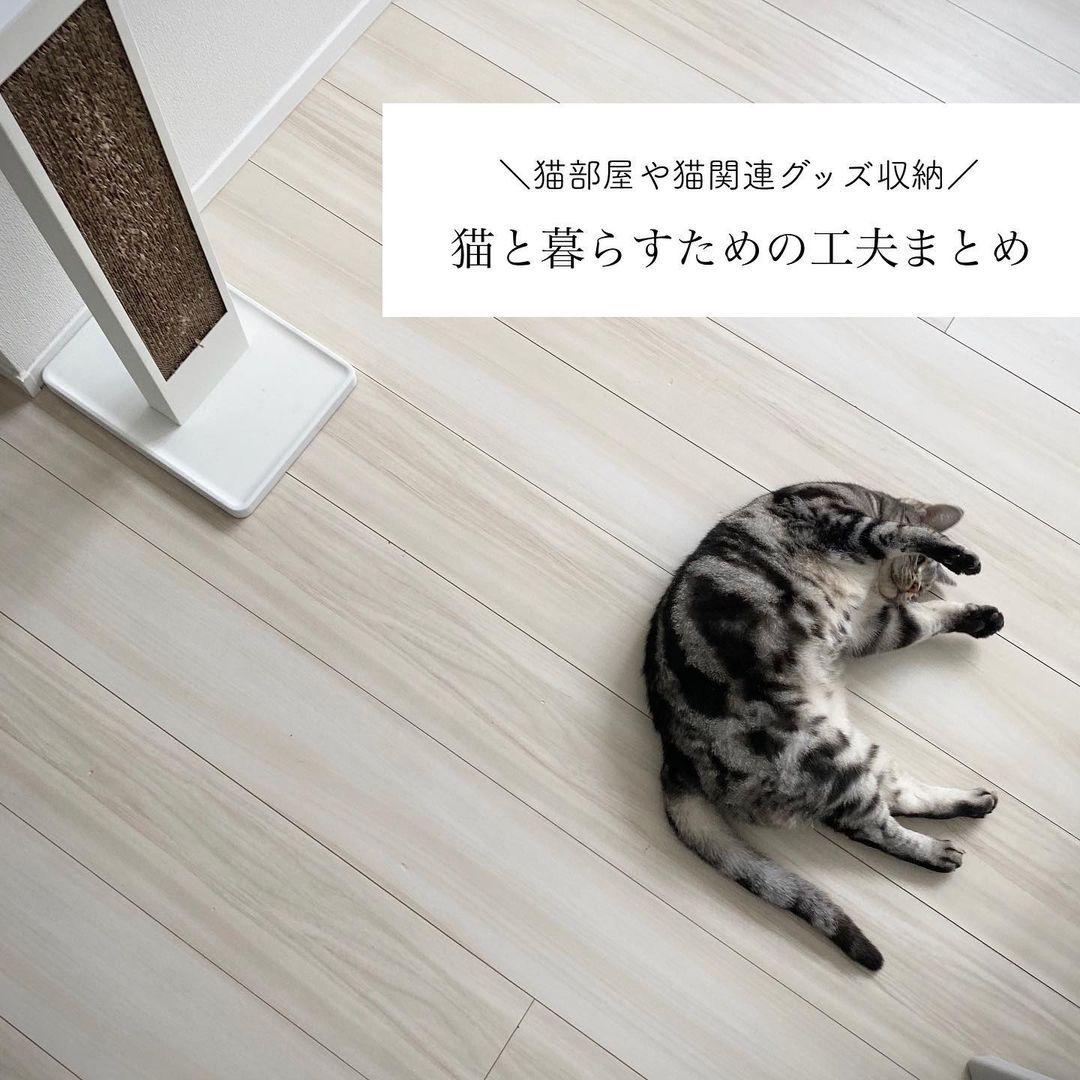 猫と暮らす工夫まとめました 満月が投稿したフォトブック Sharee