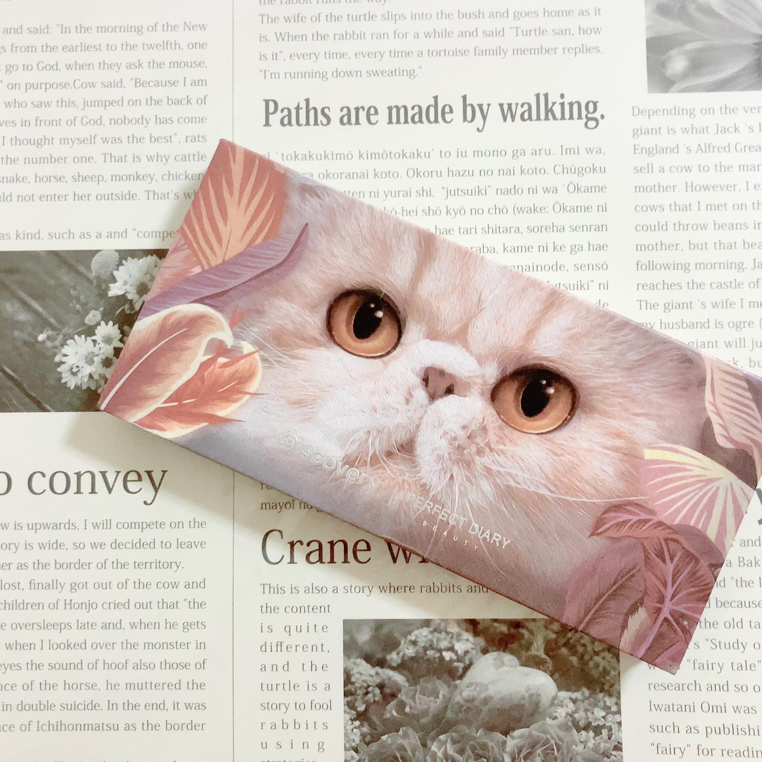 猫パッケージ🐈♡♡12色アイシャドウ／  fuwariが投稿したフォト 