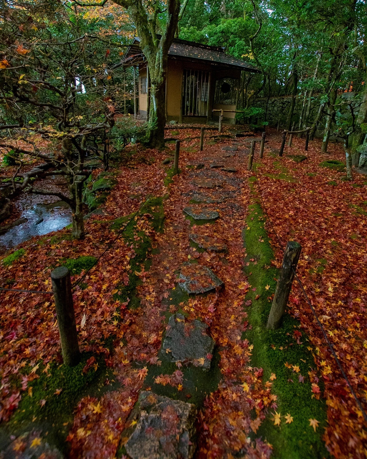 滋賀の瑠璃光院 穴場紅葉スポット 机のリフレクションが美しい 滋賀県 旧竹林院 Jptravelerspicが投稿したフォトブック Lemon8