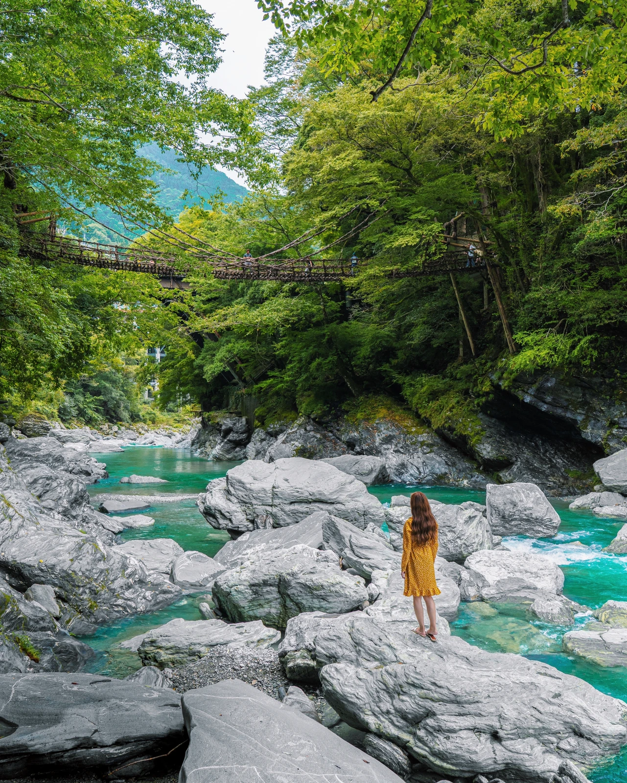 徳島県 秘境 怖いけど絶景 かずら橋 Kyoko1903が投稿したフォトブック Lemon8