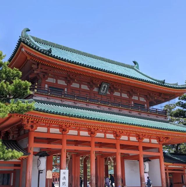 【京都】平安神宮🌸八重紅枝垂れ桜が美しい✨