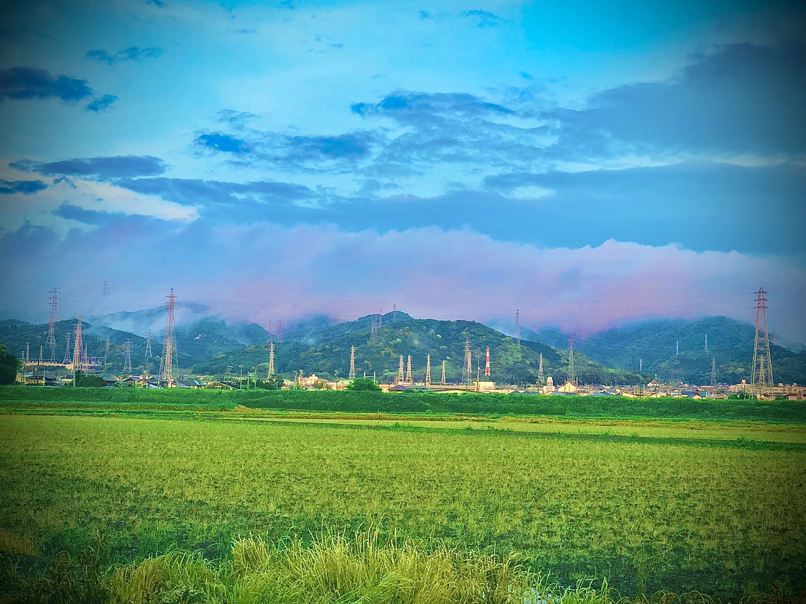 夏の景色 Fu Yanが投稿したフォトブック Lemon8