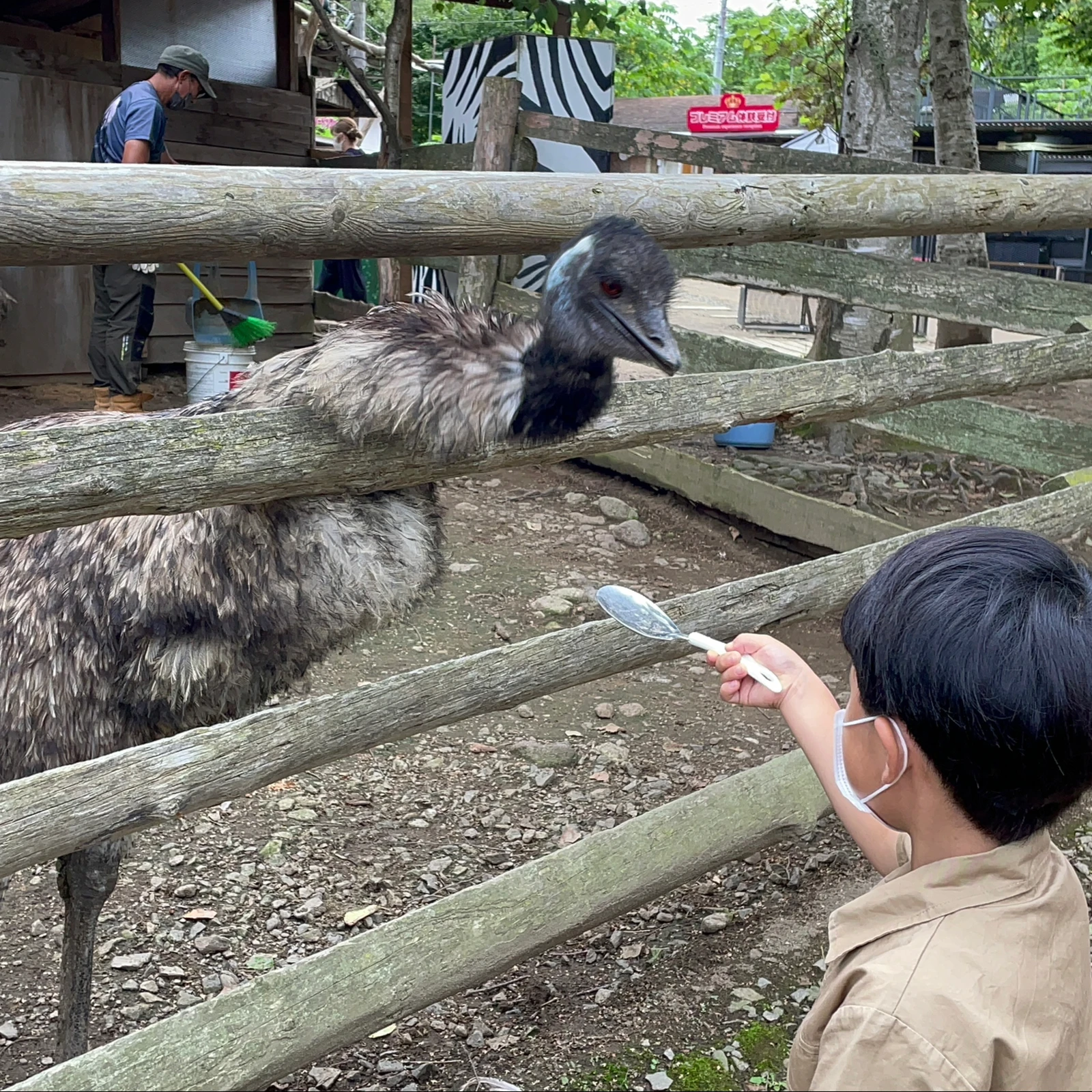 日本一危険な動物園 ノースサファリサッポロ の３つのエリアで遊び尽くしてきました そうちゃんとママが投稿したフォトブック Lemon8