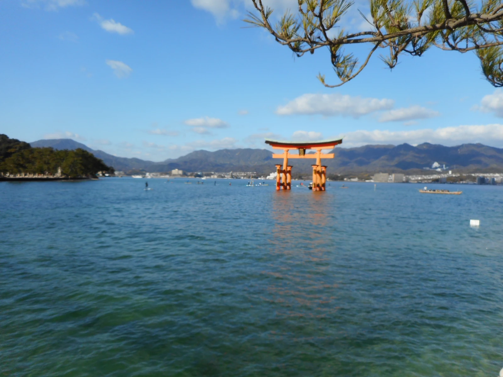 厳島神社 Kaoriが投稿したフォトブック Lemon8