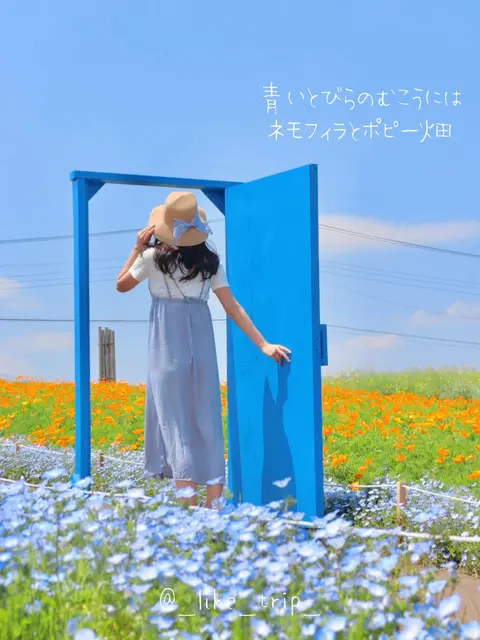 お花畑コーデ Lemon8