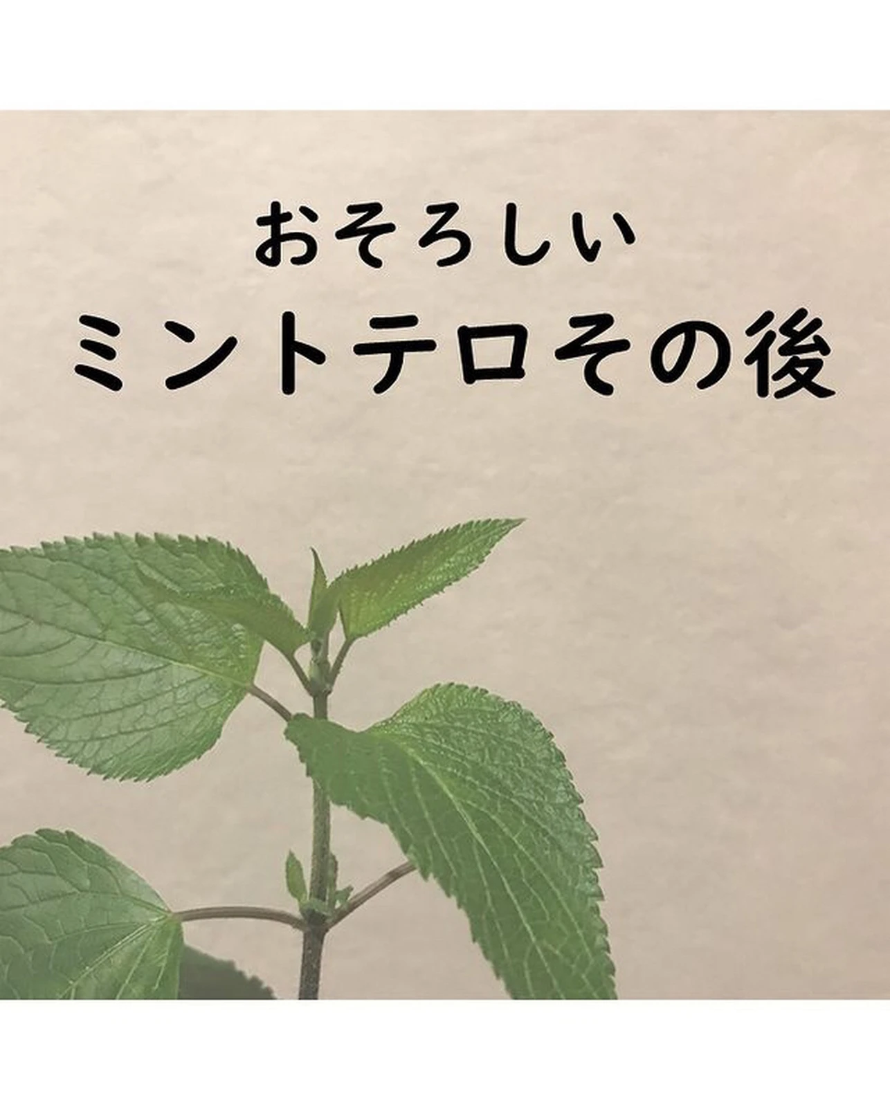 ミントテロ その後 Lemon8