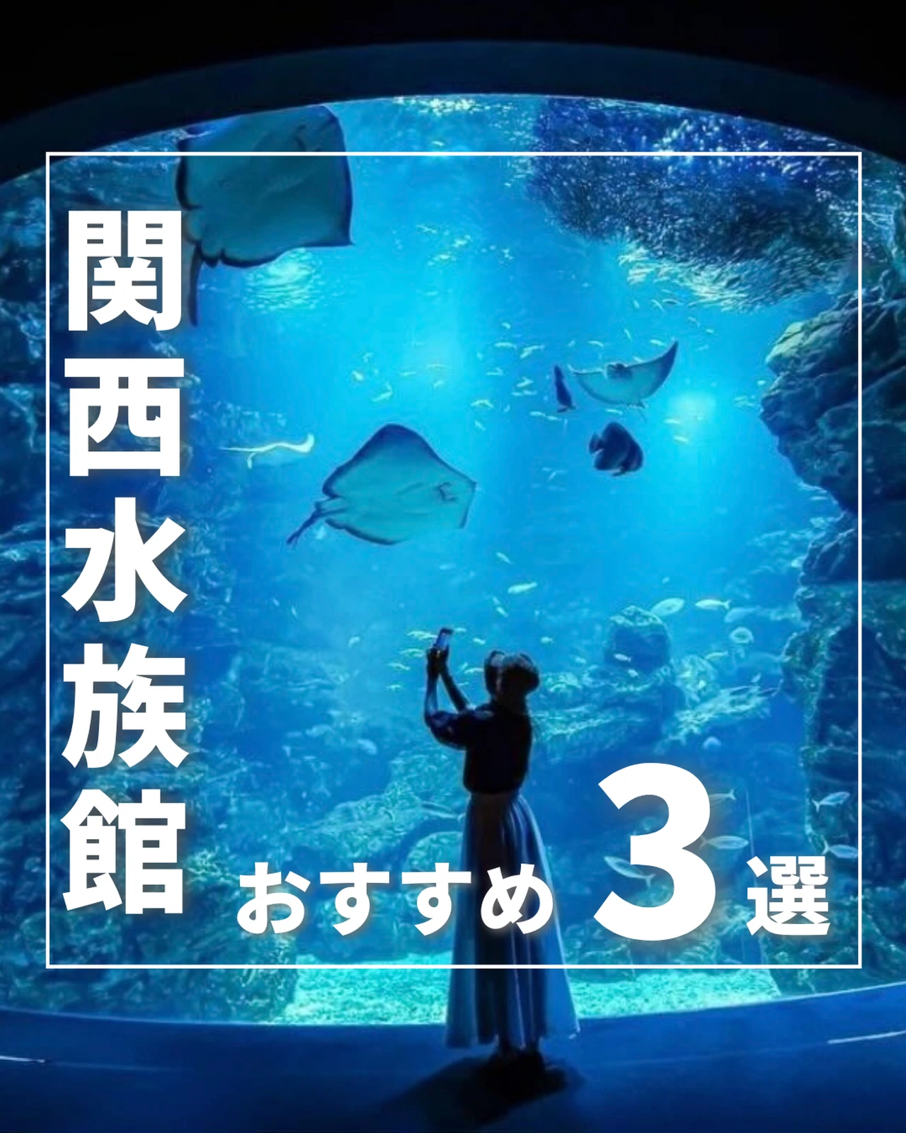 関西での水族館オススメ3選まとめました 旅とこ 関西の旅行ならおまかせが投稿したフォトブック Lemon8