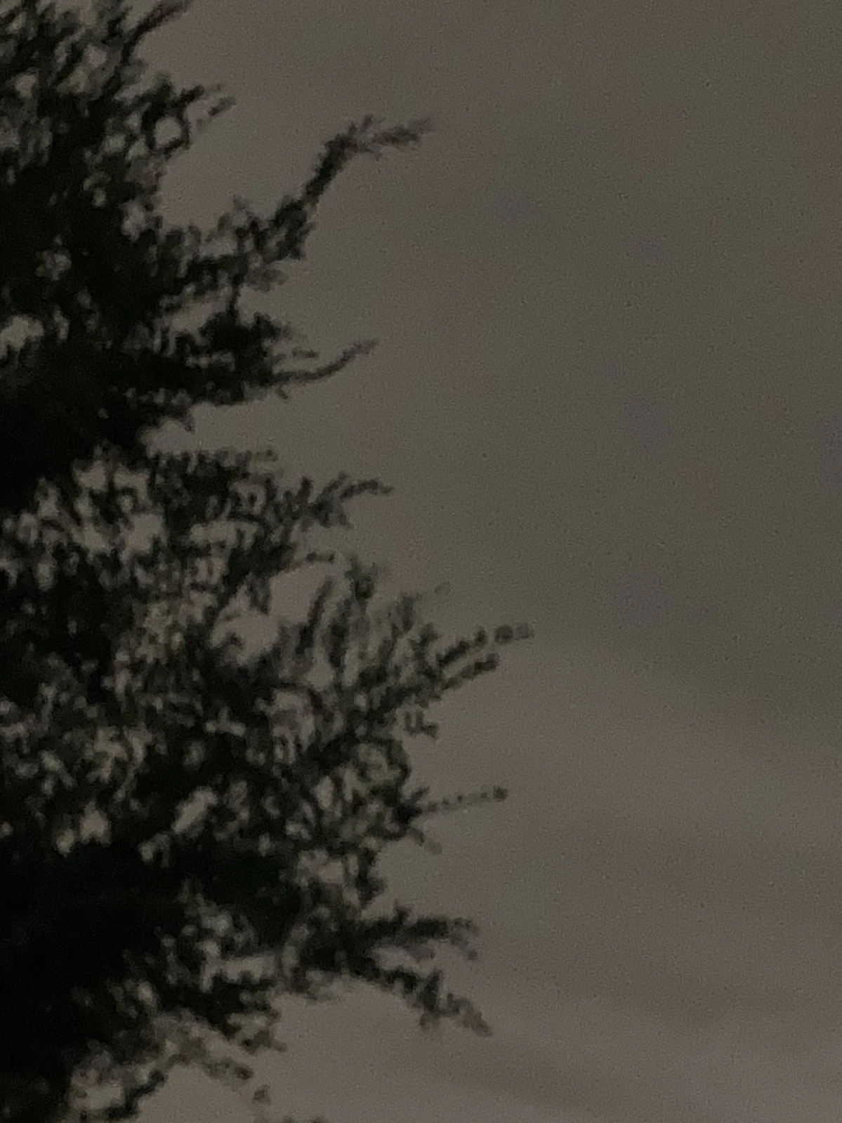 夏のエモい景色たち たが投稿したフォトブック Lemon8 夏のエモい景色たち たが投稿したフォトブック Lemon8