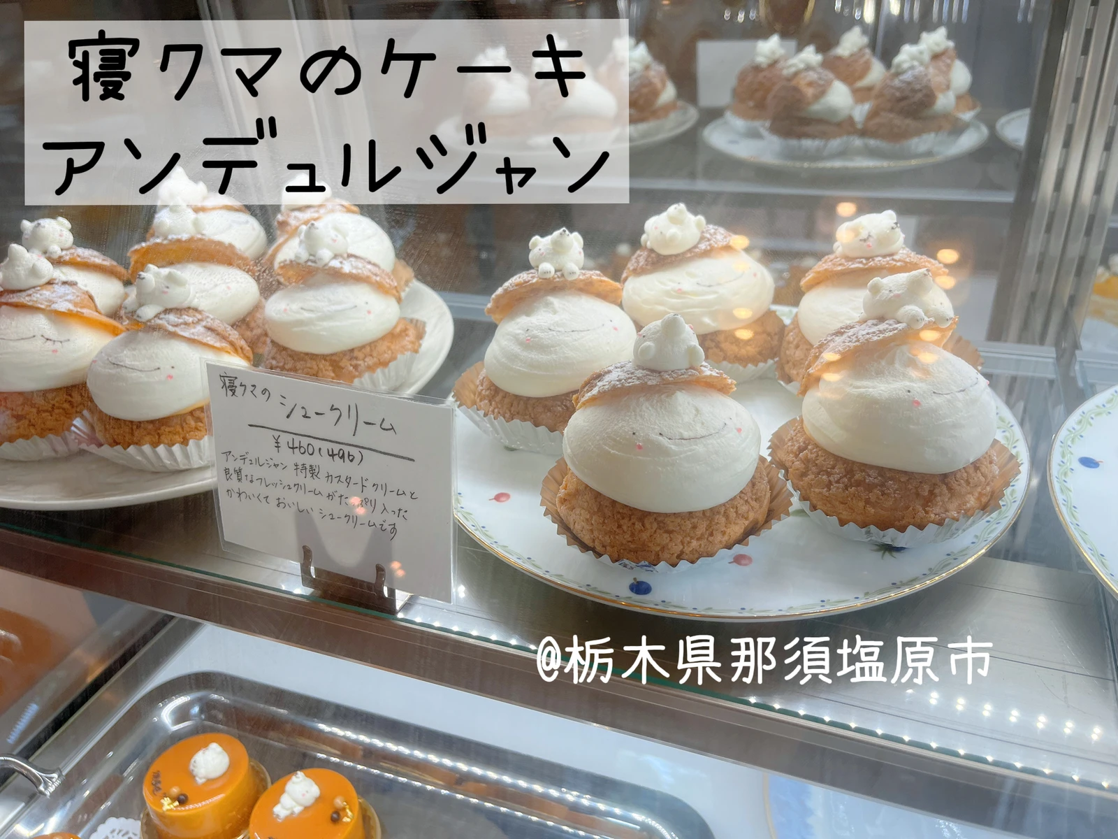寝クマが可愛いすぎる 那須のケーキ屋さん 372が投稿したフォトブック Lemon8