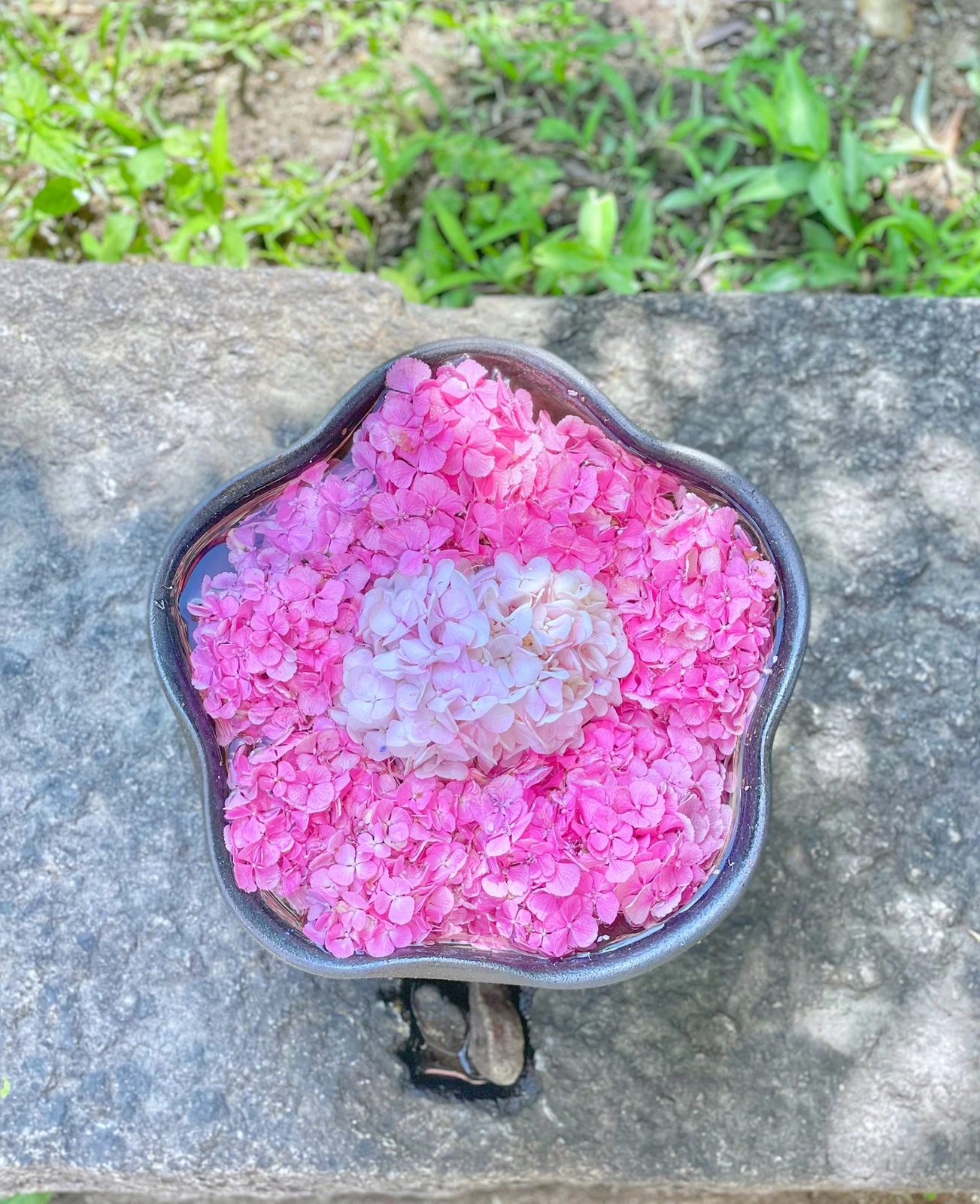 奈良 般若寺の紫陽花ガラスボール Akaneが投稿したフォトブック Lemon8