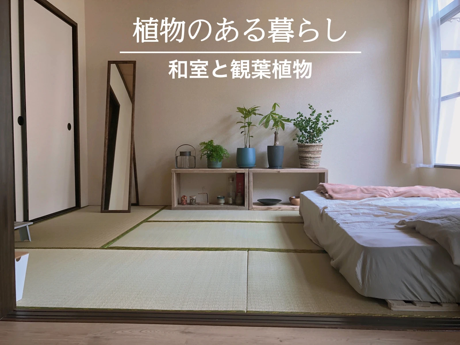 不一致 共和党 マスタード 和室 観葉 植物 国民投票 弱点 スケート