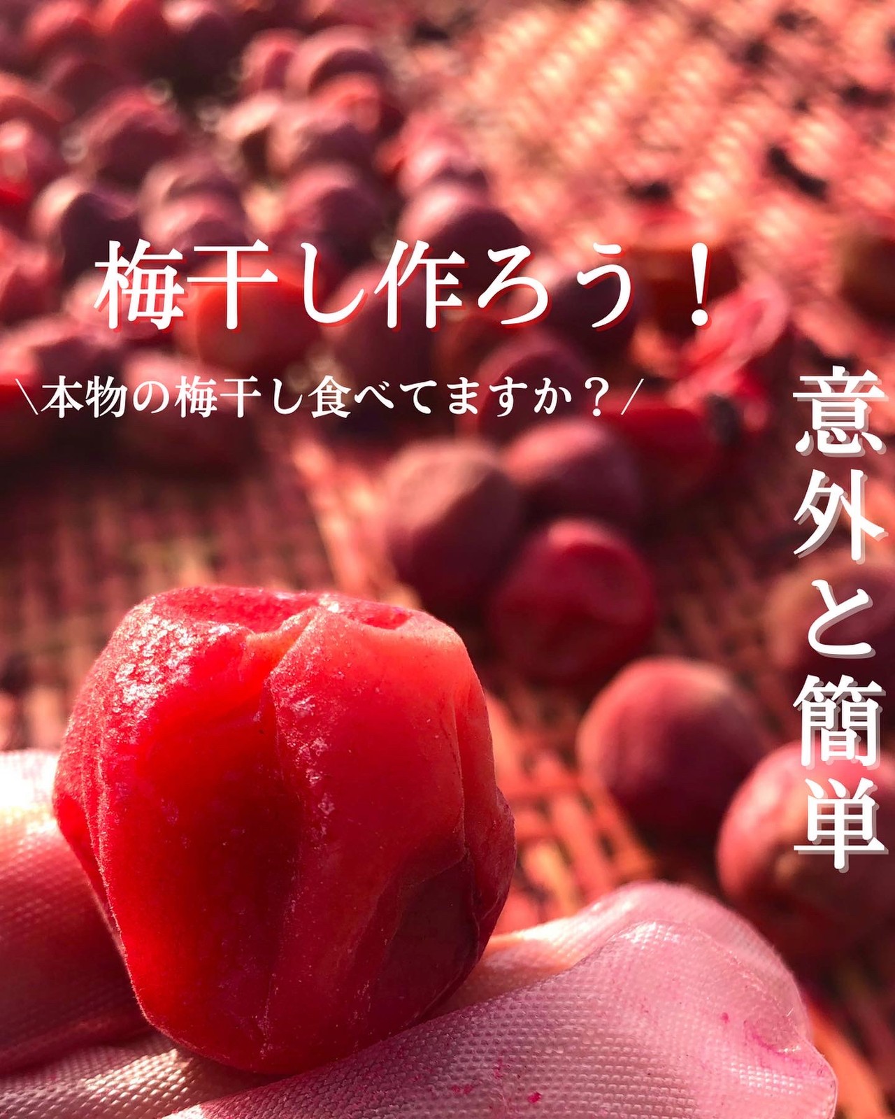 自然の味そのまんま しそ漬 昔ながらの小梅干し