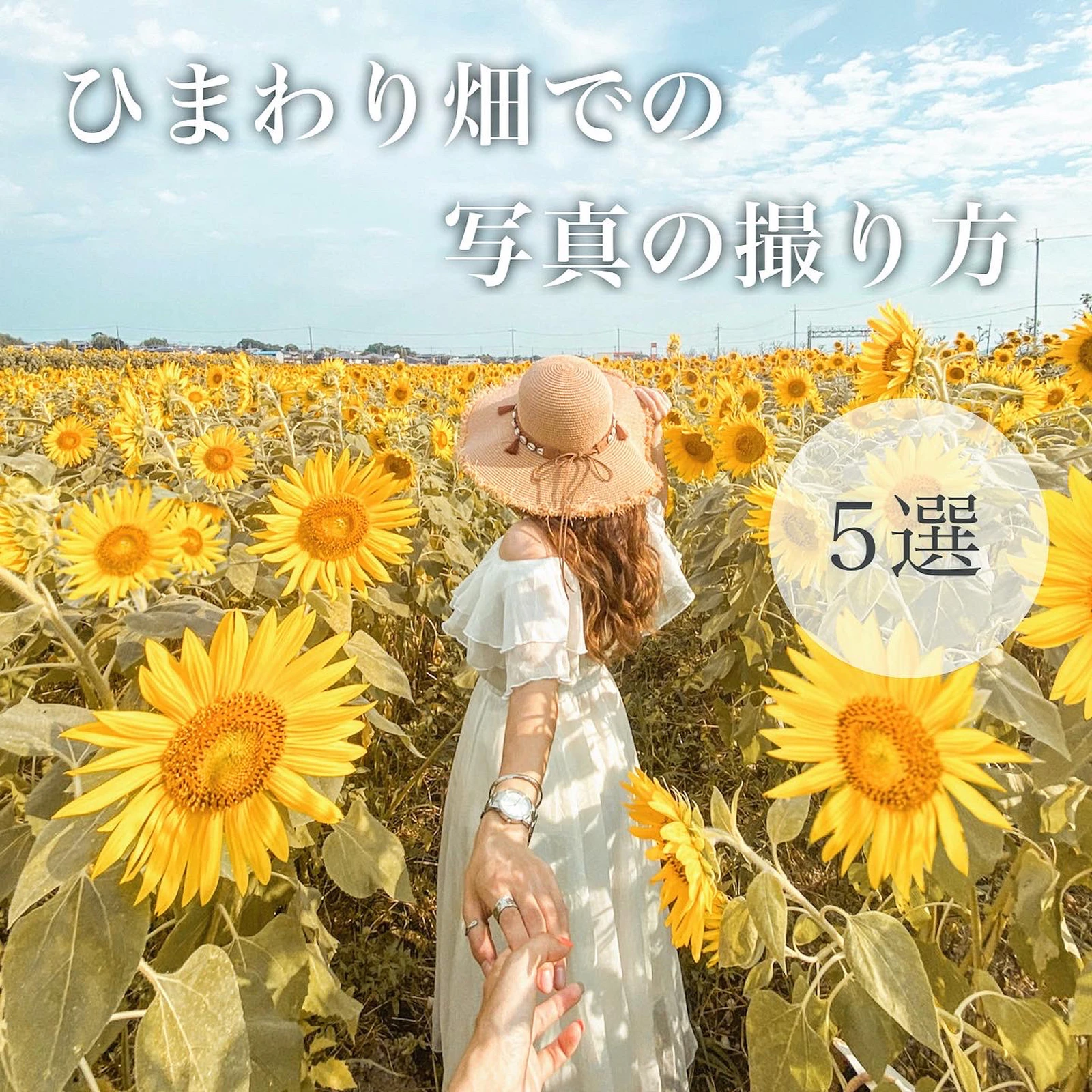 簡単に映え写真が撮れる 向日葵畑での撮り方5選 Aigram 57が投稿したフォトブック Lemon8 簡単に映え写真が撮れる 向日葵畑での撮り方5選 Aigram 57が投稿したフォトブック Lemon8