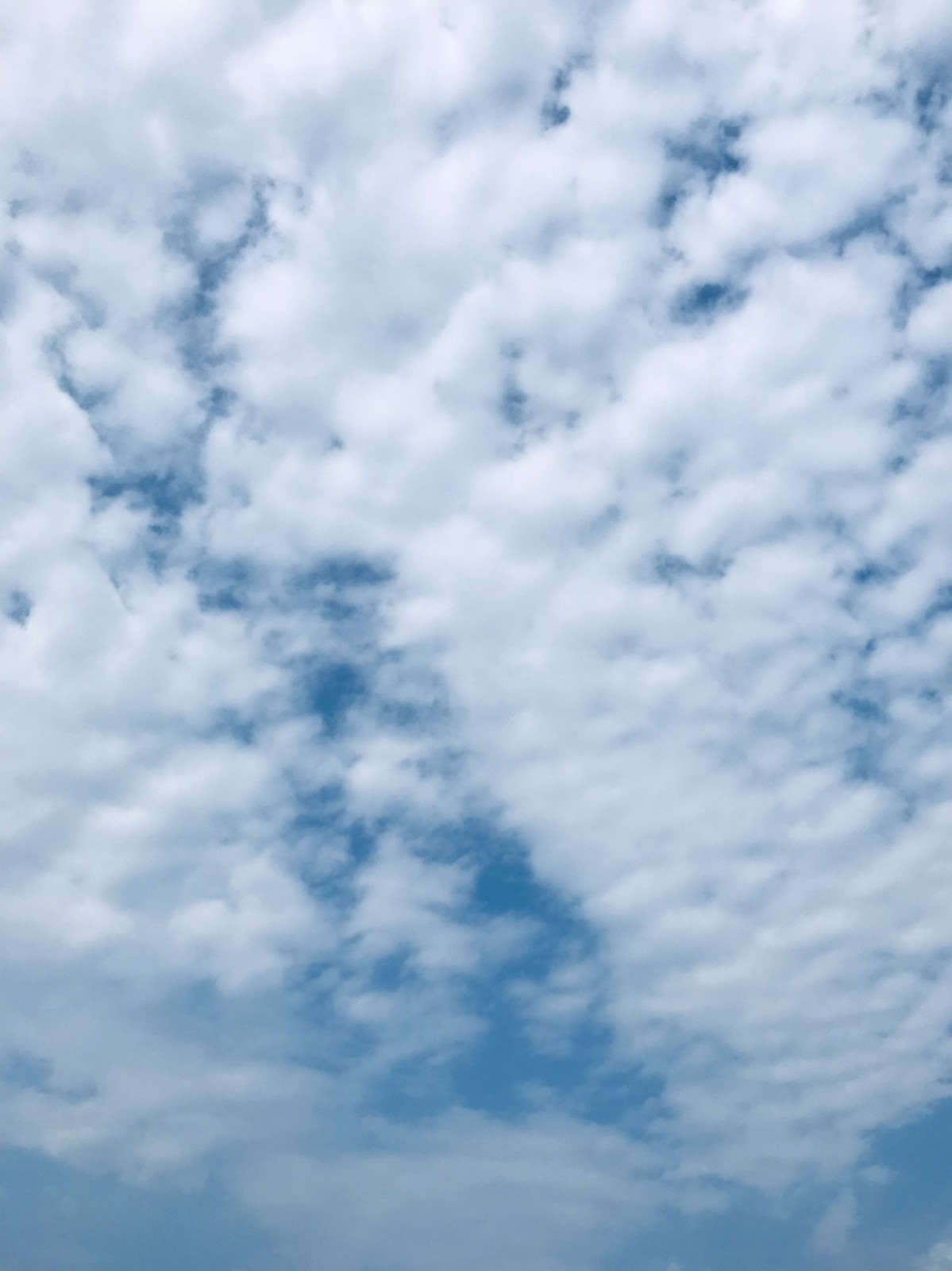 Lemon8 Story エモいアイコン Lemon8 Story エモいアイコン