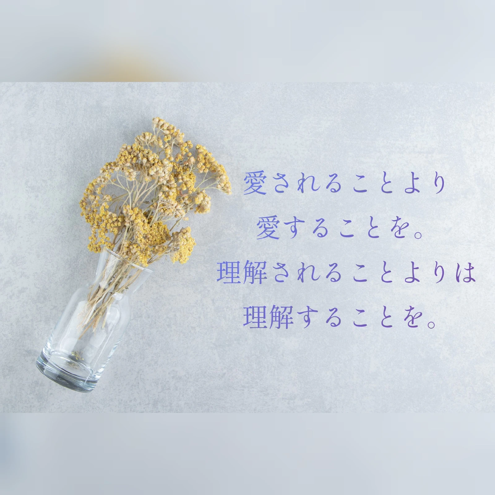Sf Kzswkfmqs M