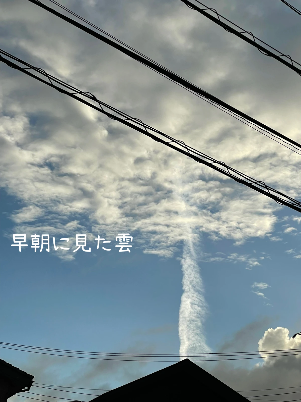 中秋の名月 不思議な雲 クルミサクラが投稿したフォトブック Lemon8 中秋の名月 不思議な雲 クルミサクラが投稿したフォトブック Lemon8