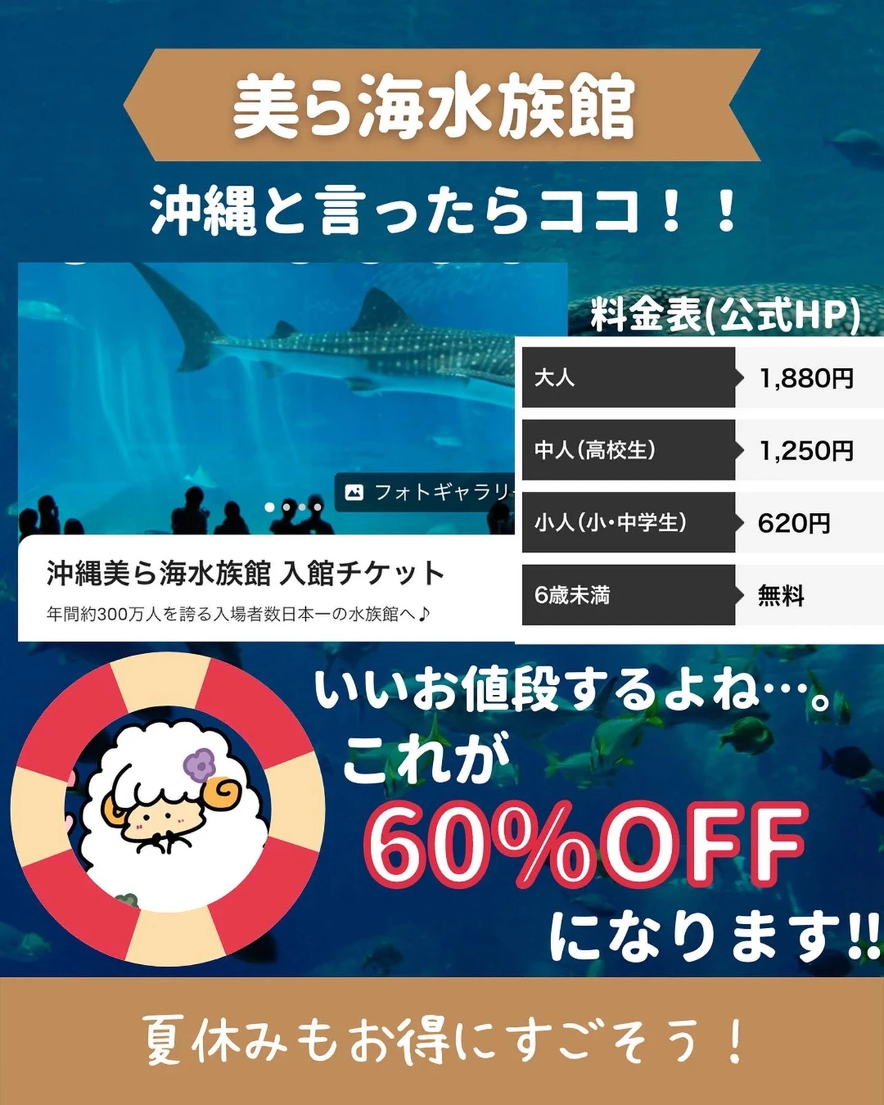 買い取り 沖縄 美ら海水族館 チケット 1枚 Www Anavara Com