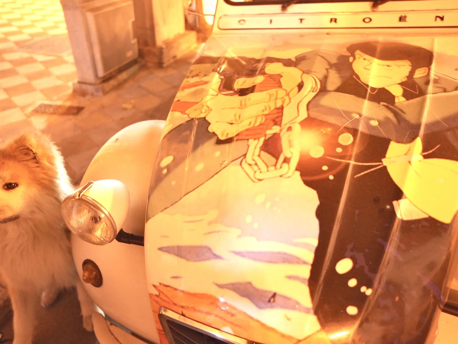 秋田犬とルパン3世 日本がイタリアを席巻 秋田犬 サンゴが投稿したフォトブック Lemon8