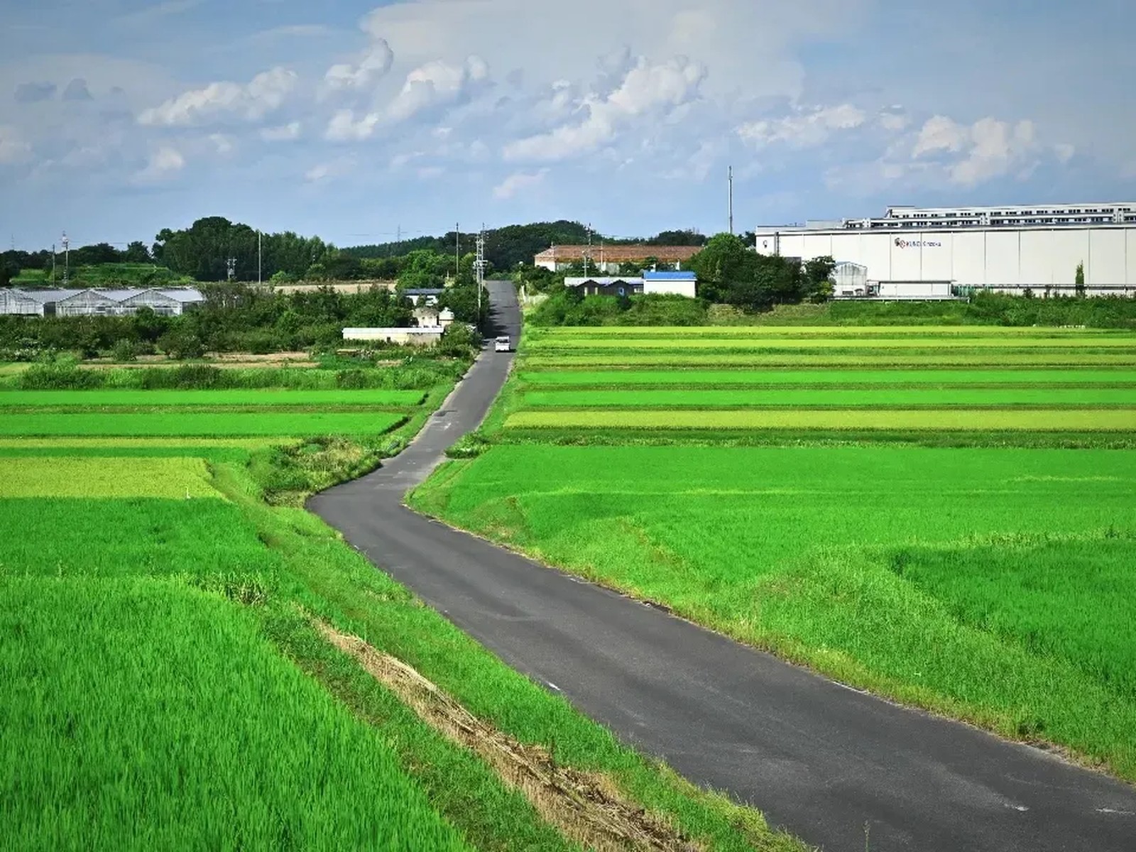 Lemon8 Story 散歩 田舎の風景