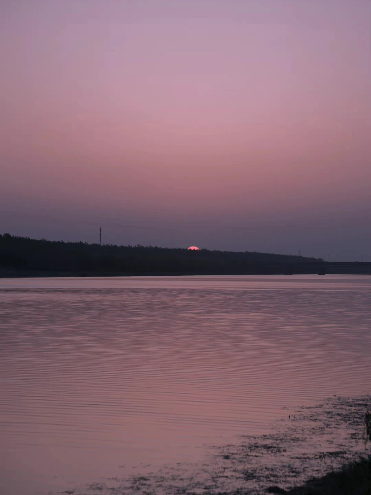 ピンクの夕日と花の海 Norakumaが投稿したフォトブック Lemon8