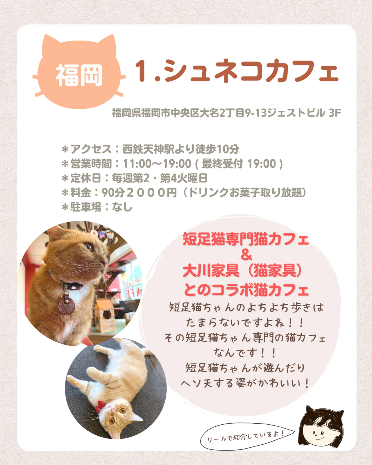 九州猫カフェ 面白い猫カフェをまとめてみたよ モノコ インスタみてね が投稿したフォトブック Lemon8