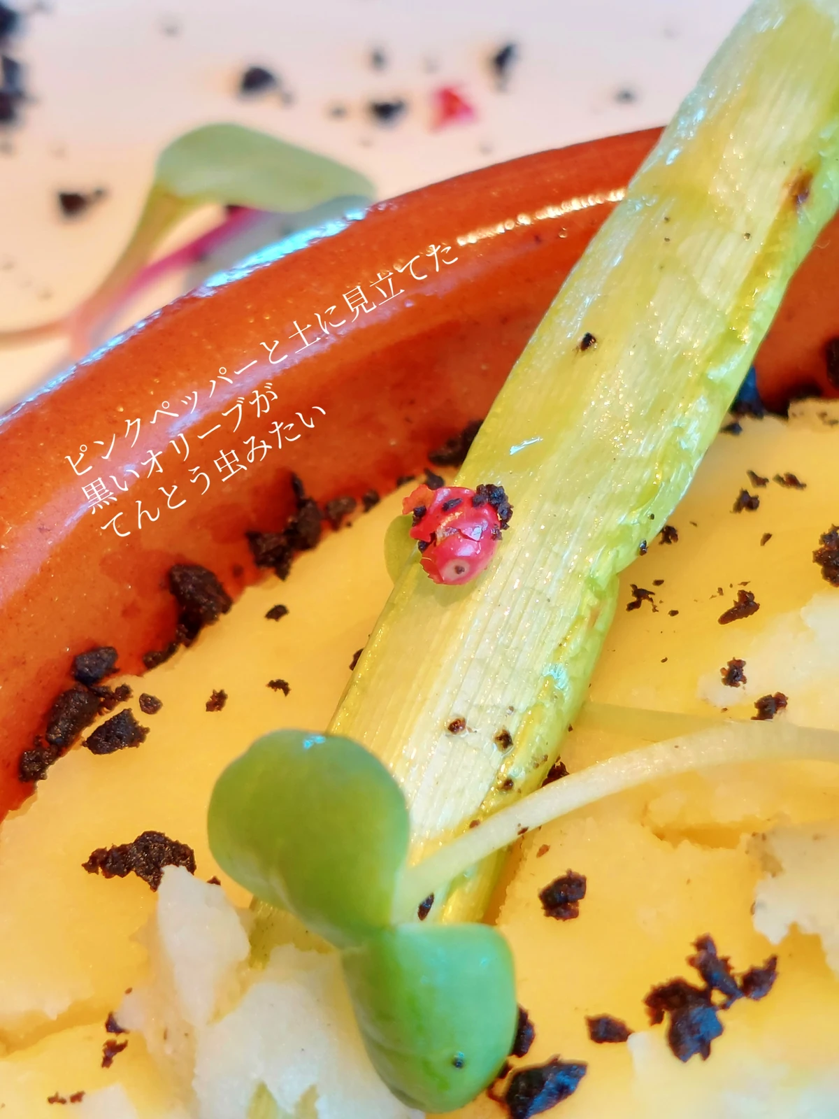 野菜アート Lemon8