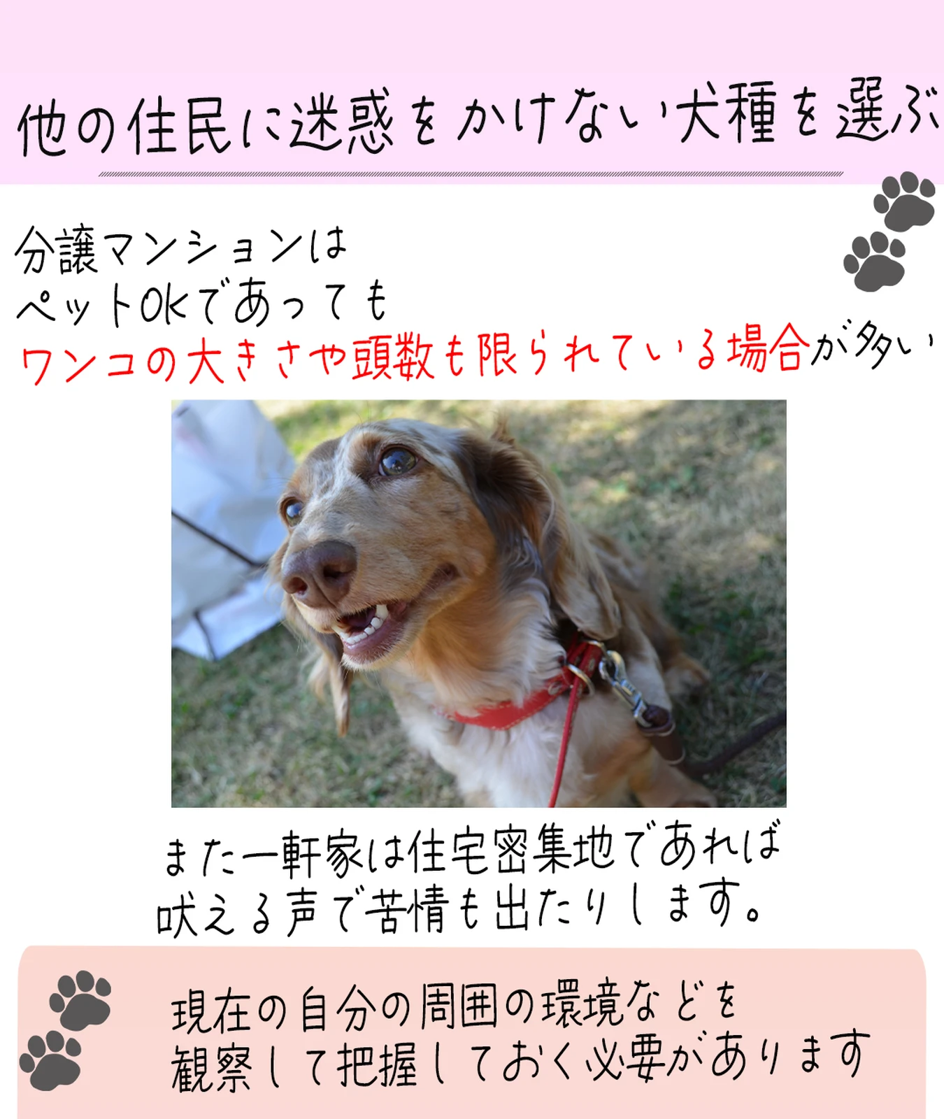 犬のしつけ Lemon8