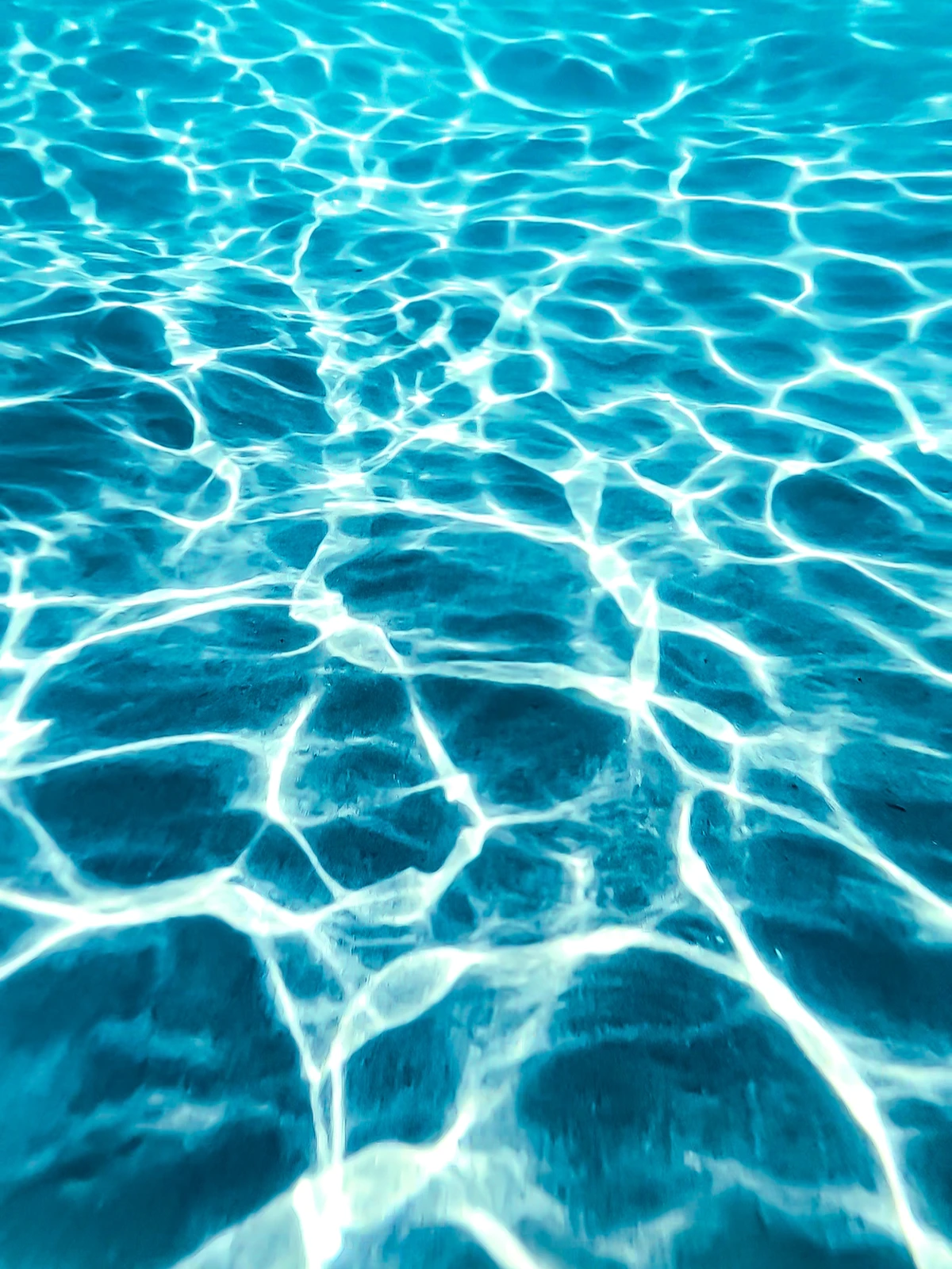 伊豆 白浜の海の中から Shojiが投稿したフォトブック Lemon8