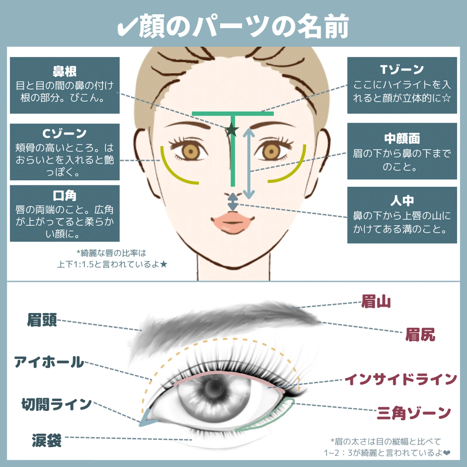 これは知っておくべき メイク用語まとめました Nera ネイラ 美容オタク が投稿したフォトブック Lemon8