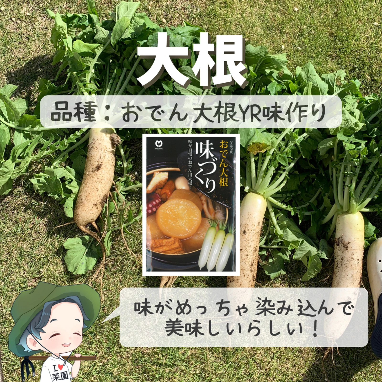 我が家の秋冬野菜はコレ ばう 小さな家庭菜園役立つ情報が投稿したフォトブック Lemon8