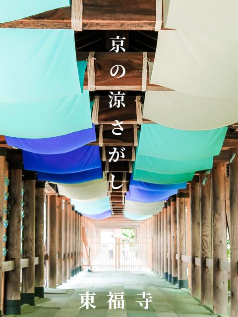 【京都】夏の京都で見つける「涼」が見どころ満載だった件。