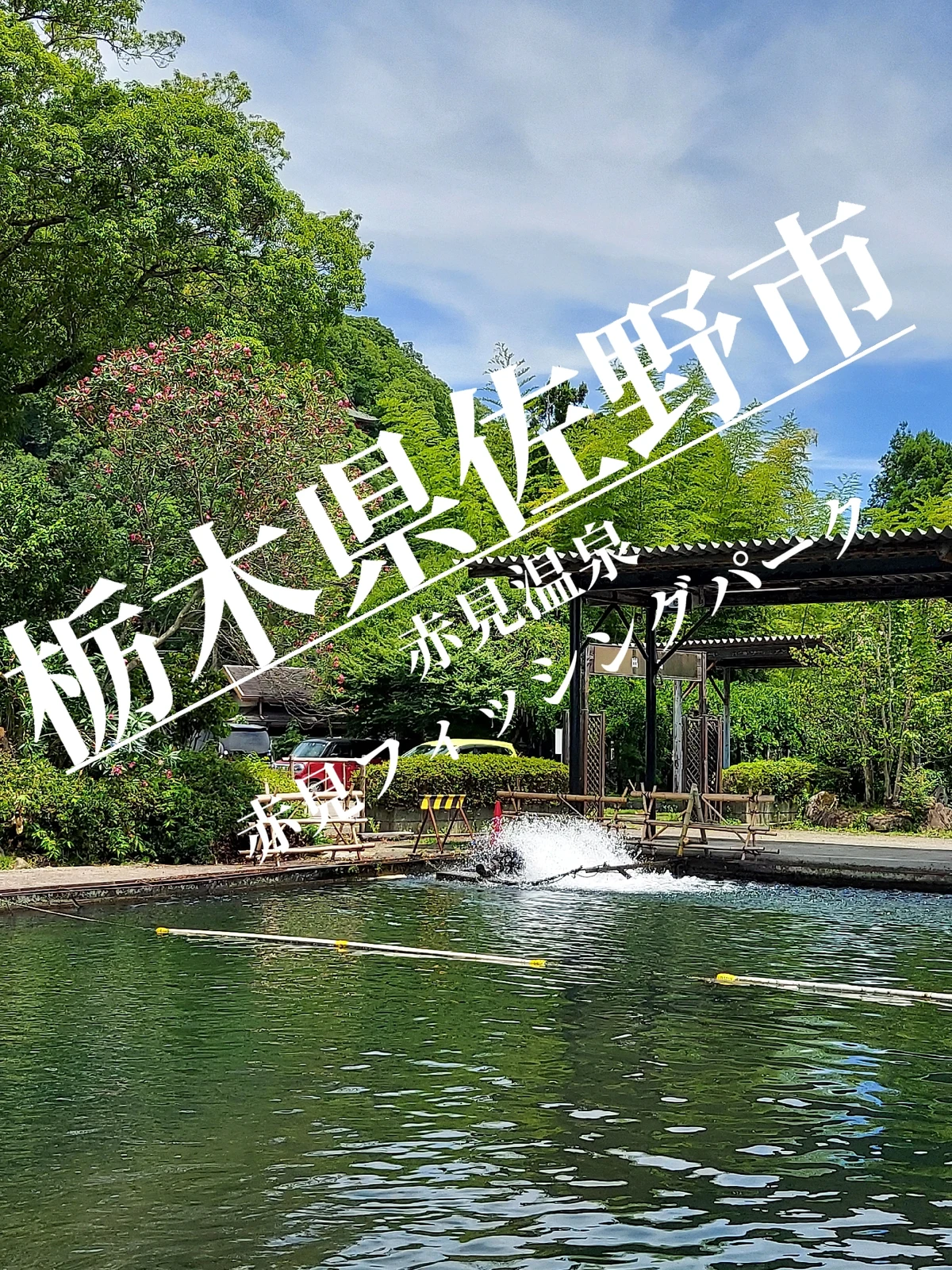 赤見フィッシングパークで釣り堀 Maastaが投稿したフォトブック Lemon8 赤見フィッシングパークで釣り堀 Maastaが投稿したフォトブック Lemon8